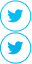 Twitter иконка